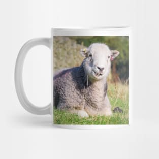 Happy Herdwick Sheep, Lake District Mug